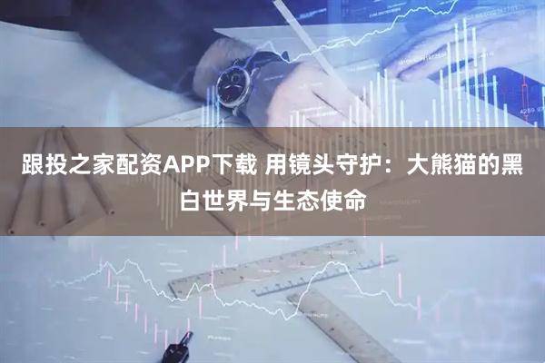 跟投之家配资APP下载 用镜头守护：大熊猫的黑白世界与生态使命