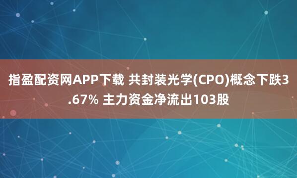 指盈配资网APP下载 共封装光学(CPO)概念下跌3.67% 主力资金净流出103股