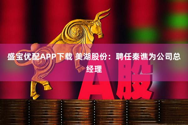 盛宝优配APP下载 美湖股份：聘任秦谯为公司总经理